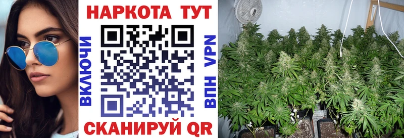 Магазины продажи наркотиков Слюдянка Кокаин Alpha-PVP МАРИХУАНА Гашиш