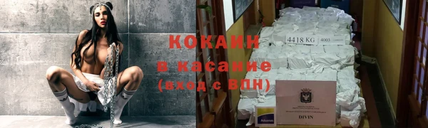 гашик Арсеньев