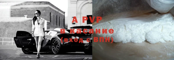 гашик Арсеньев