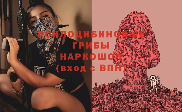 гашик Арсеньев