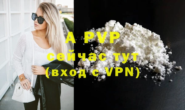 гашик Арсеньев