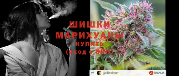 гашик Арсеньев